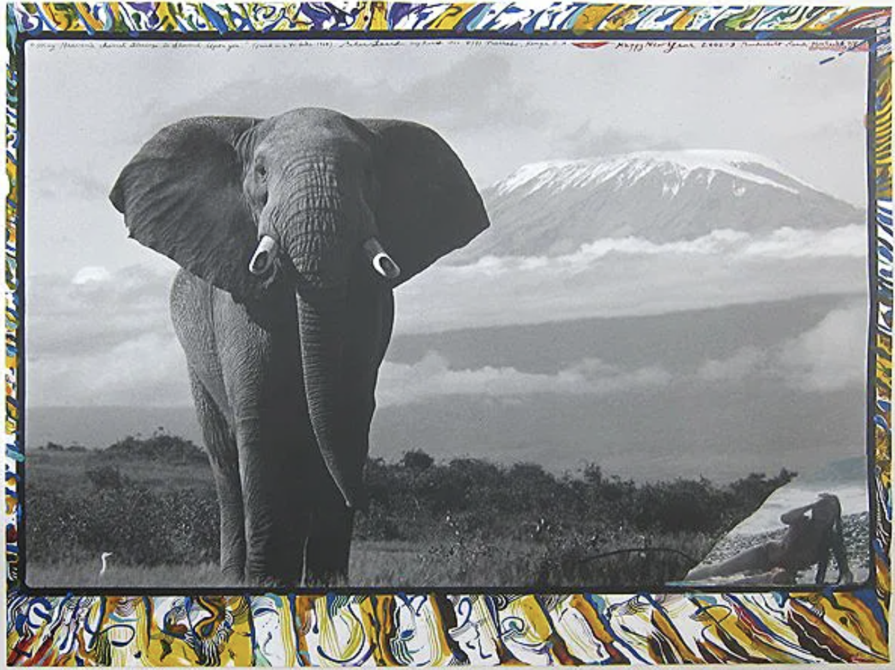 Peter Beard (1938-2020)