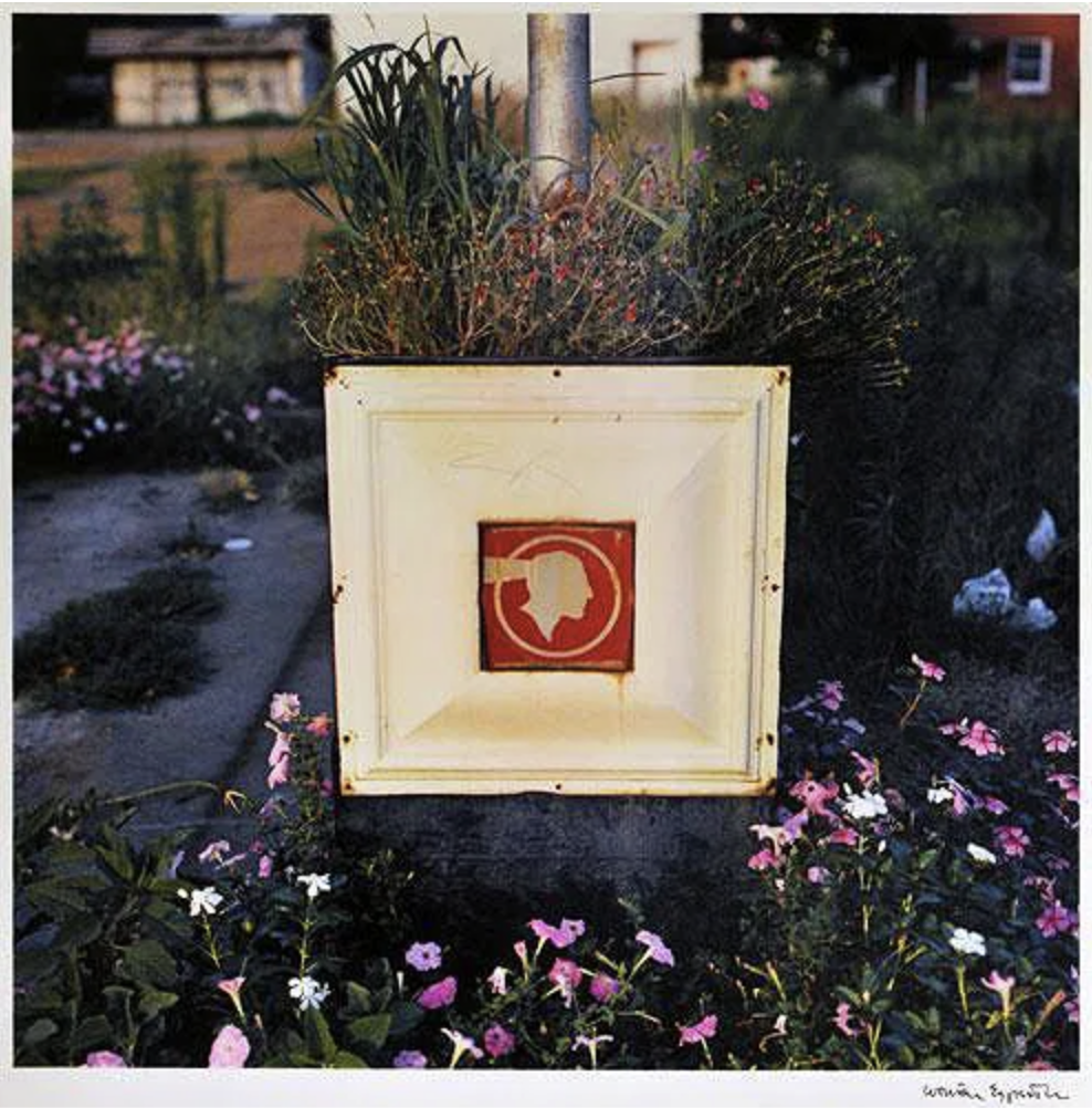 William Eggleston (1939)