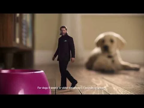 CREDELIO Commercial - Tick and Flea Protection that's Gentle by Design