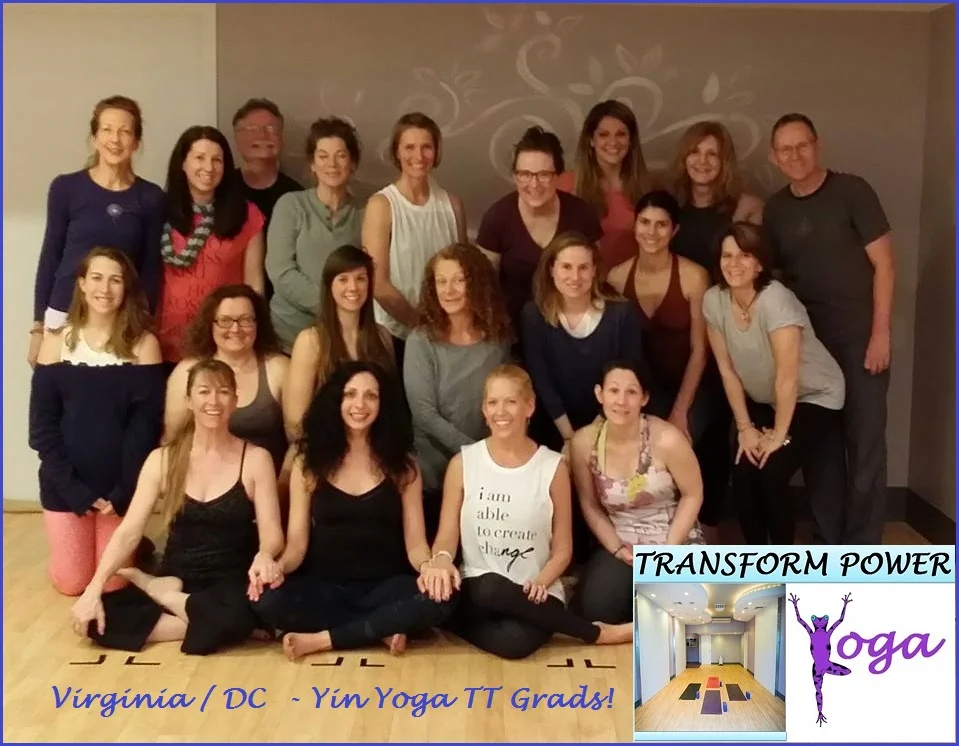 Virginia Yin TT Feb 2015 ..jpg