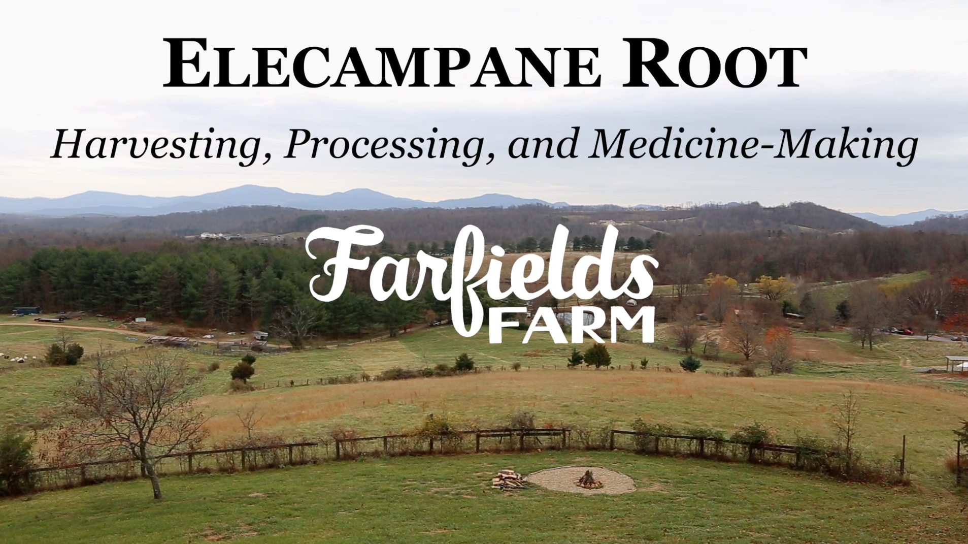 Intro Screen Shot.png