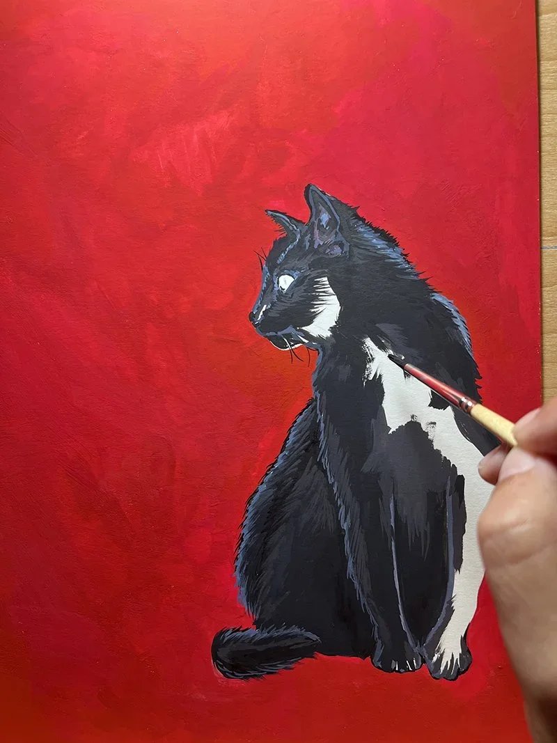 CAT.jpg.webp