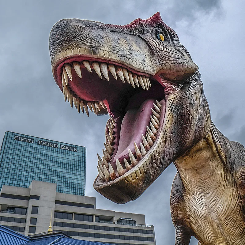 CTY_dinosaur21p.jpg