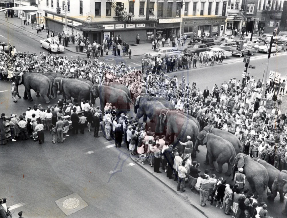 DOWNTOWN CIRCUS, 1960