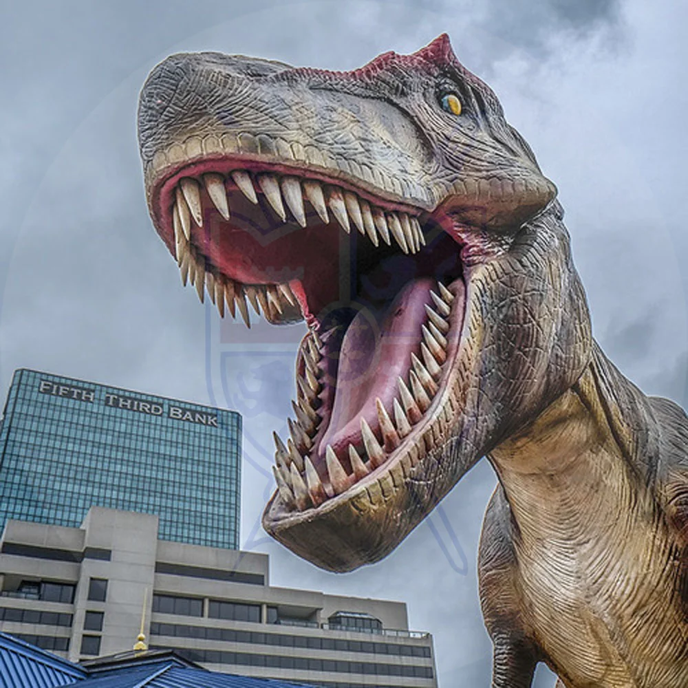 SPT bgsu vs. ou 11p (Copy)