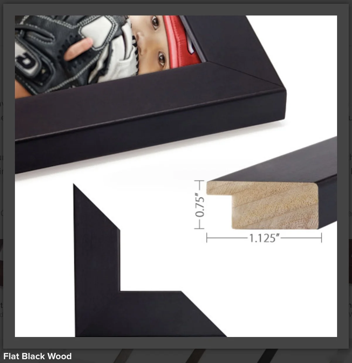 BV PFRAME sample.jpg