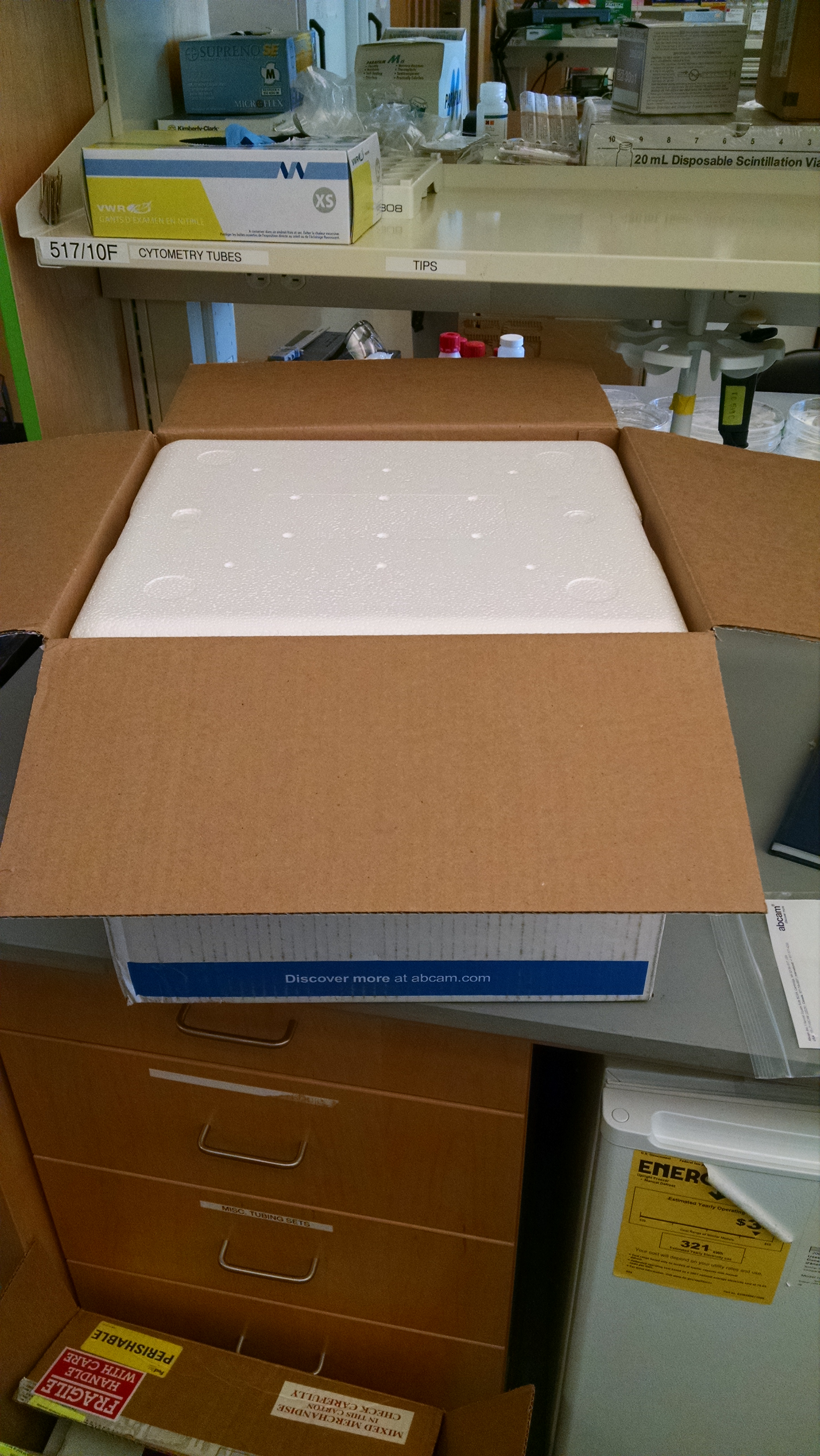 A very large EPS cooler arrived packed into a perfect sized box