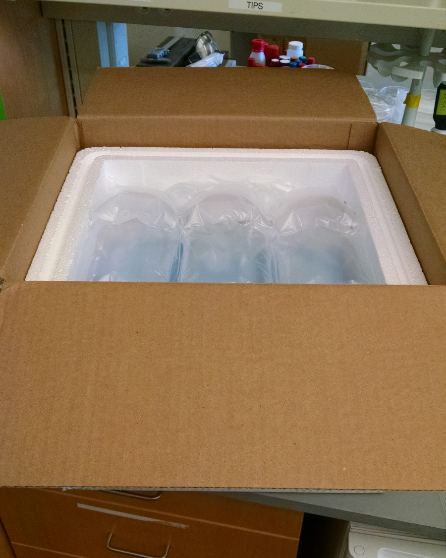Some inflatable padding to prevent items from moving during shipment