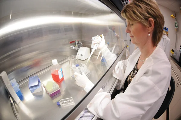Patilee Tate works under the tissue-culture hood, source: Clemson.edu