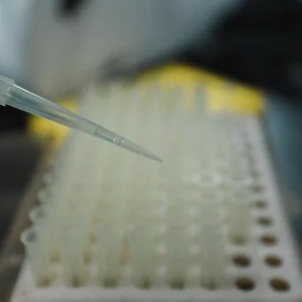 Load bulk pipette tips into racks faster