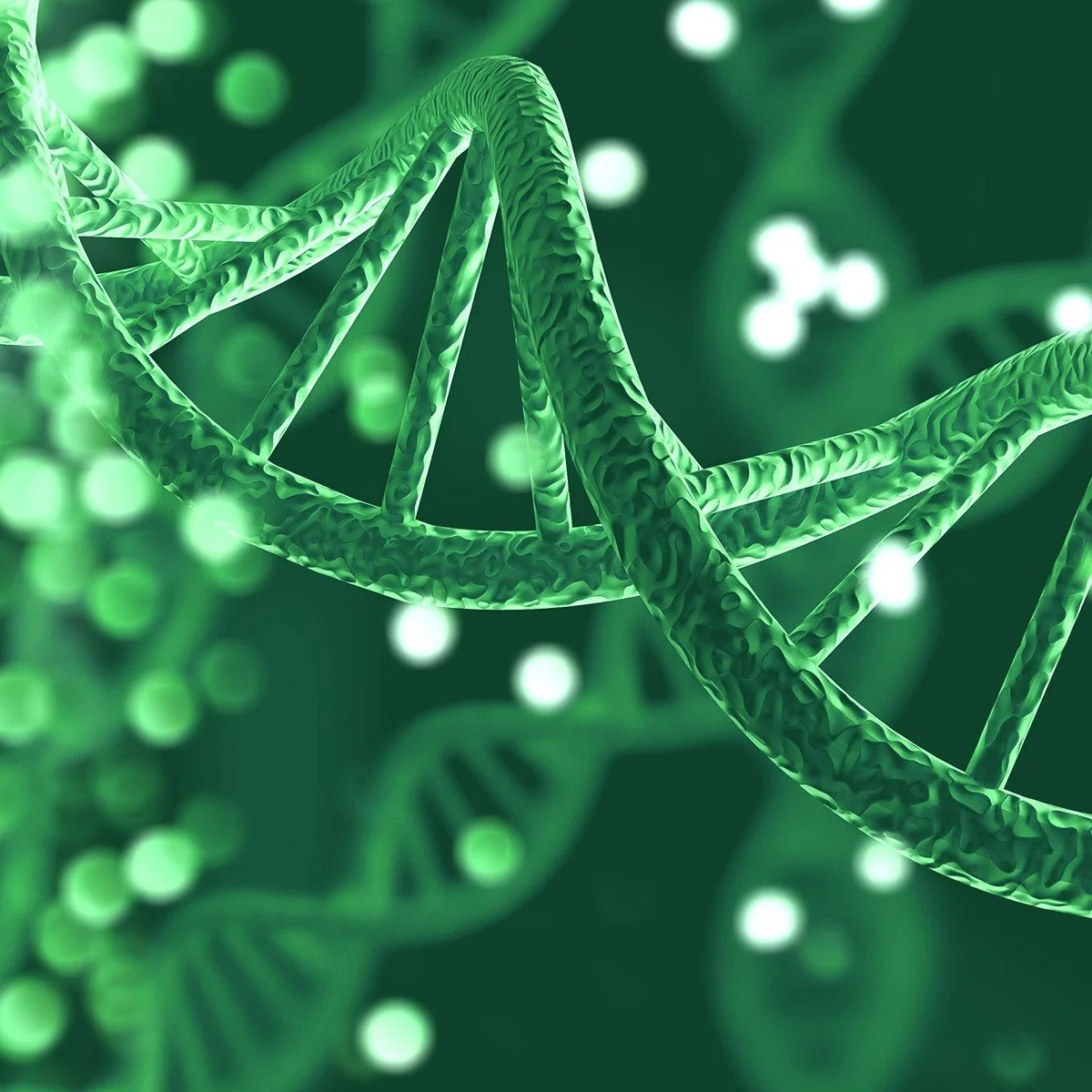 DNA and RNA Purification Kits