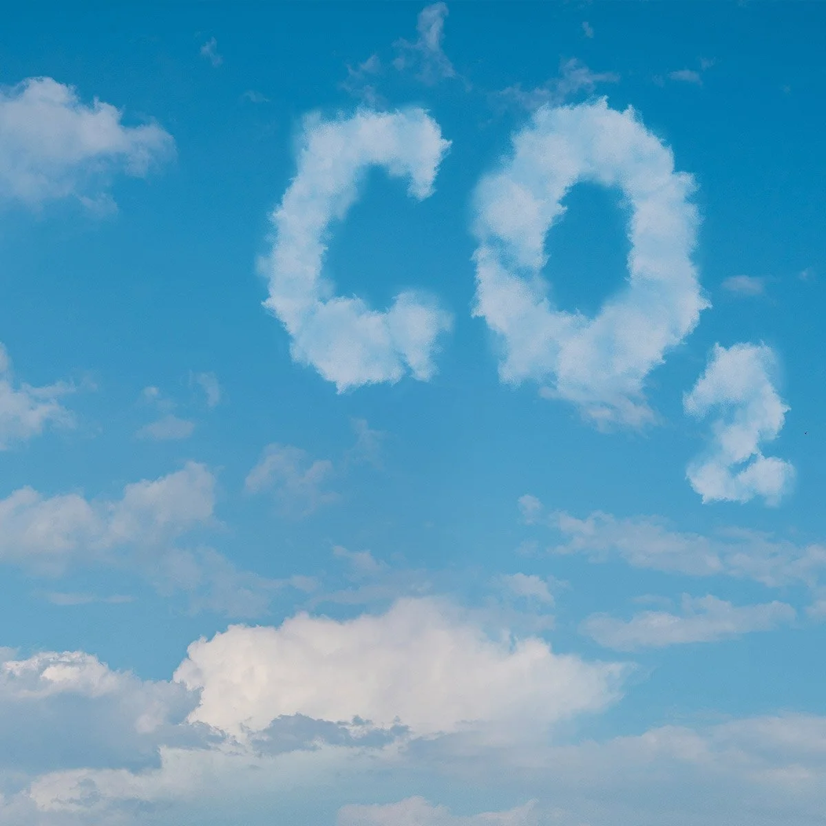 LEAF in labs, greenwashing and sustainable science : Q &amp; A with Martin Farley