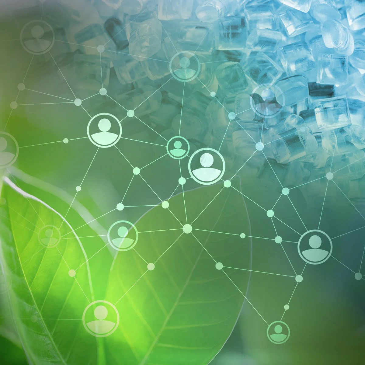 Max Planck Sustainability Network helps scientists share ideas