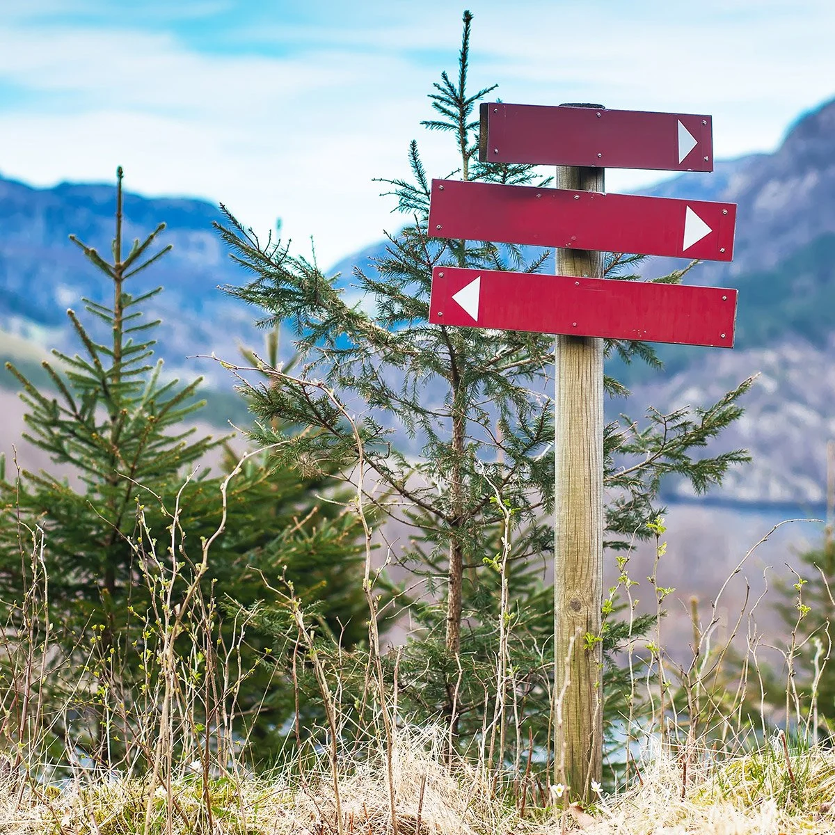 Lab signage: How to create clear calls for eco-friendly actions