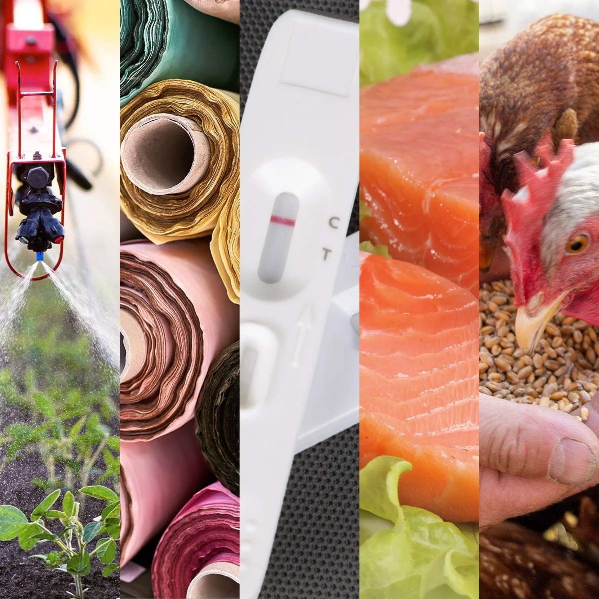 Five Biotech Products Helping to Meet Global Sustainability Goals