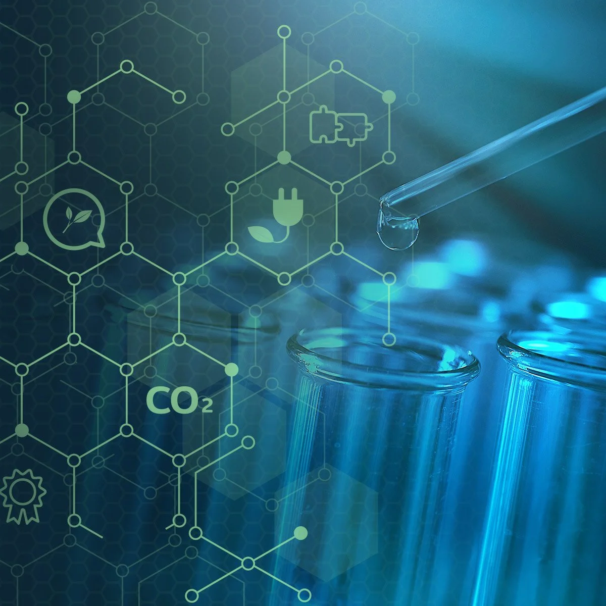 A New Approach to Sustainability - A Conversation on the Re-Advance Initiative