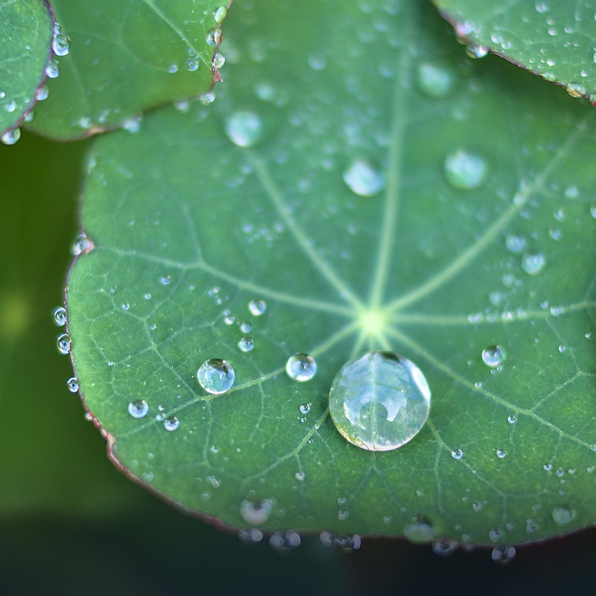 The Wyss Institute Delivers Materials Inspired by Biology and Adopted by Industry