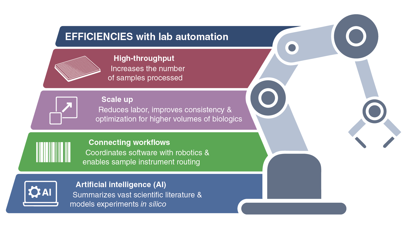Efficiencies with lab automation infographic shows scale up, connecting workflows and AI