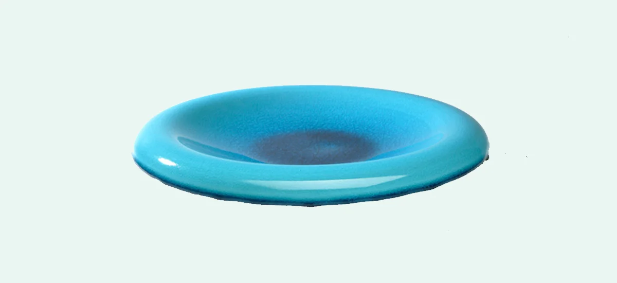 lg banner, blue platter.jpg