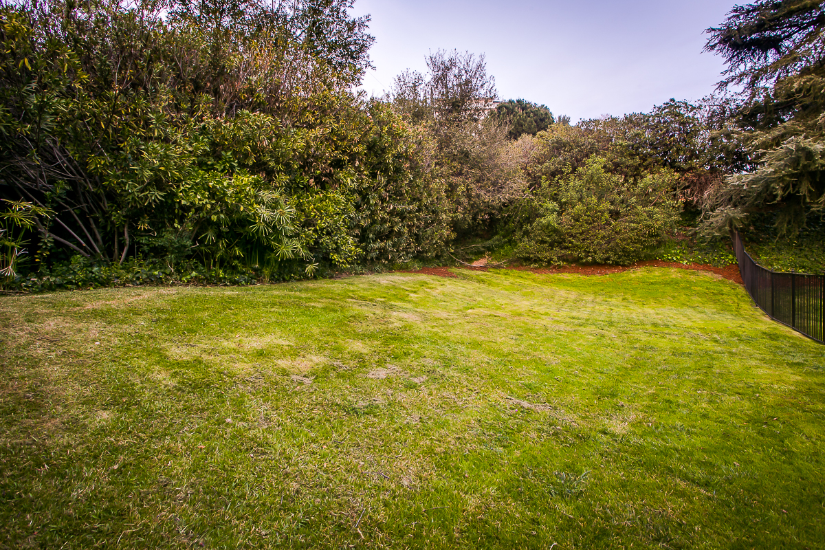 Devonwood+Photos_MLS-6.jpg