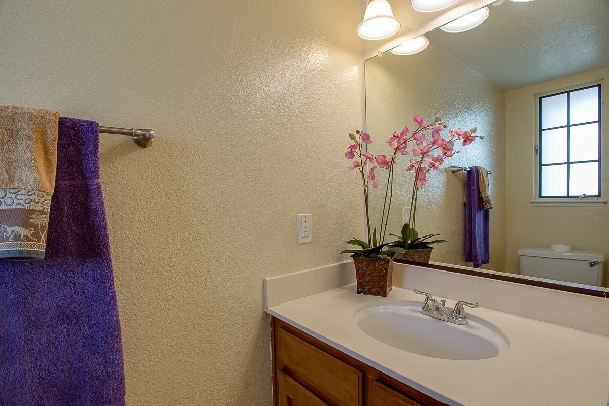 20915+Shellfish+HB_MLS-18.jpg