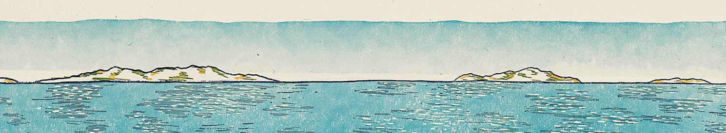 top banner.jpg