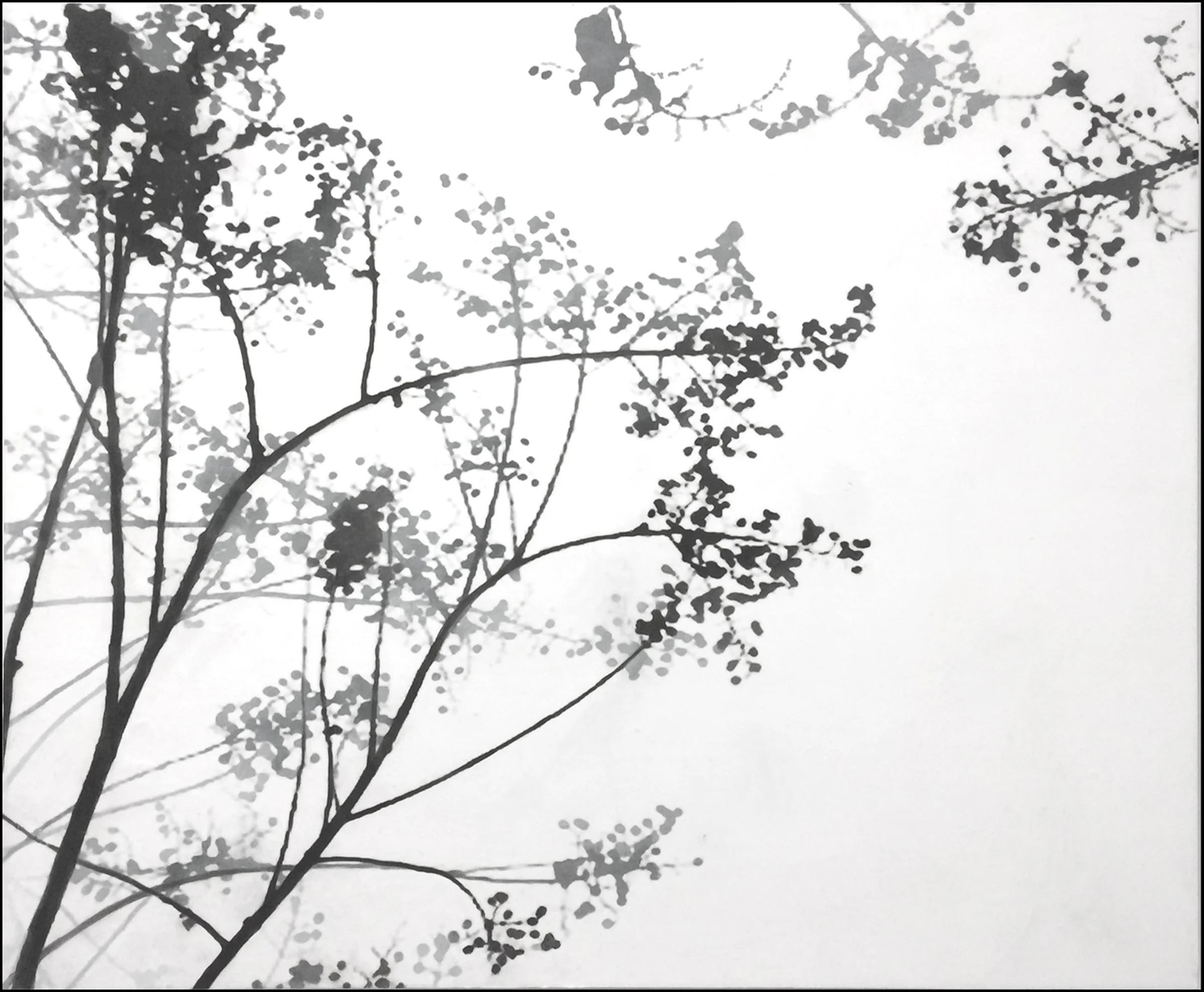 Large Branches , 2015 Inkjet print, vine charcoal, acrylic glazes on cradled panel
