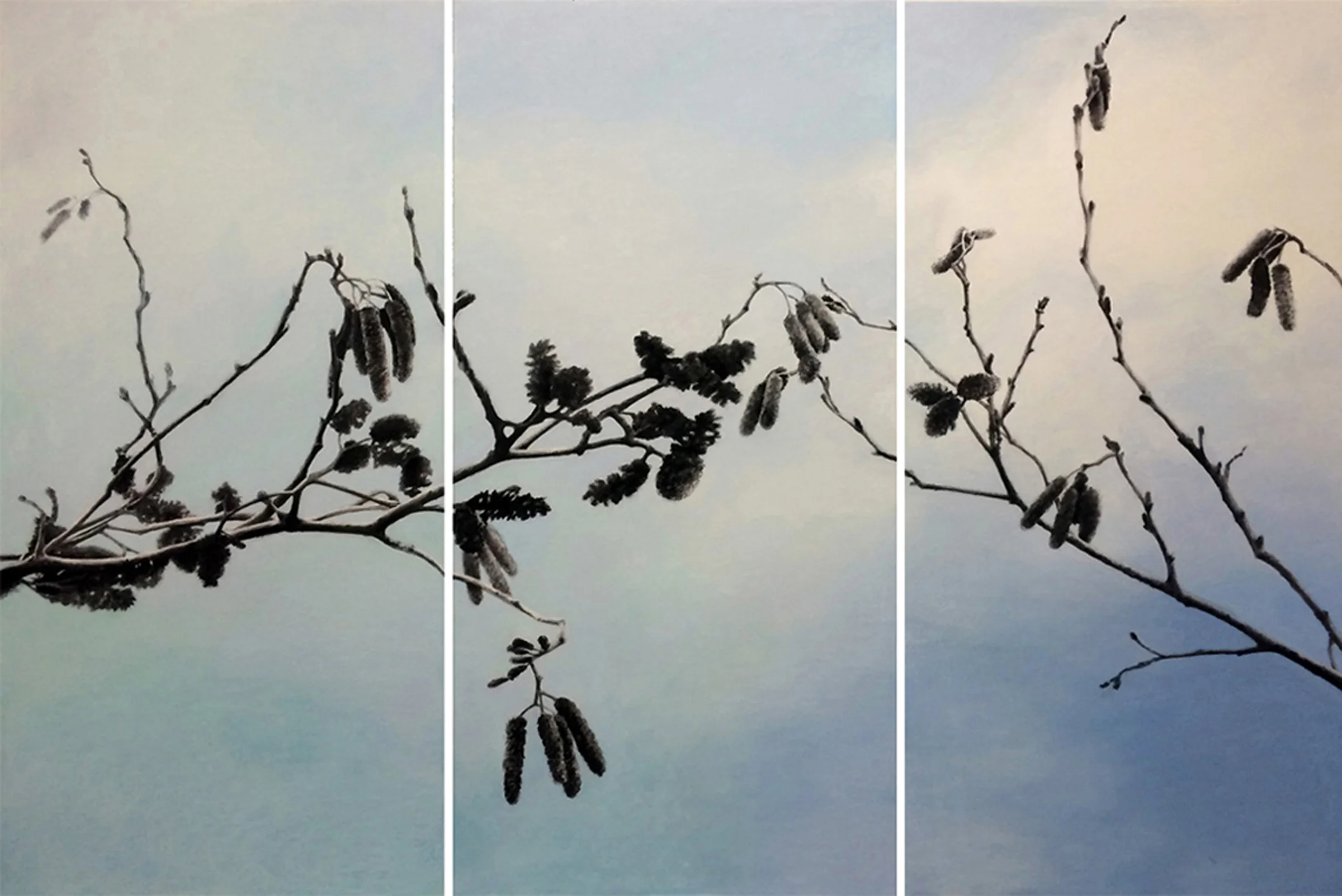 Serenbe , 2016 Vine charcoal, pastel, acrylic glazes on paper on cradled panel 3 panels, 22 x 48 inches each