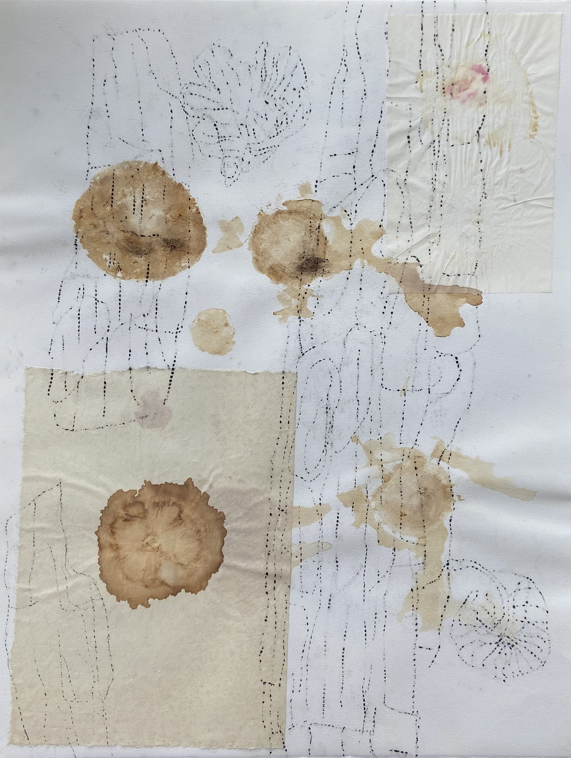    Trace Layers No. 25  , 2008 Mushroom stains, charcoal, and rice paper on archival paper 26 x 18 in. 