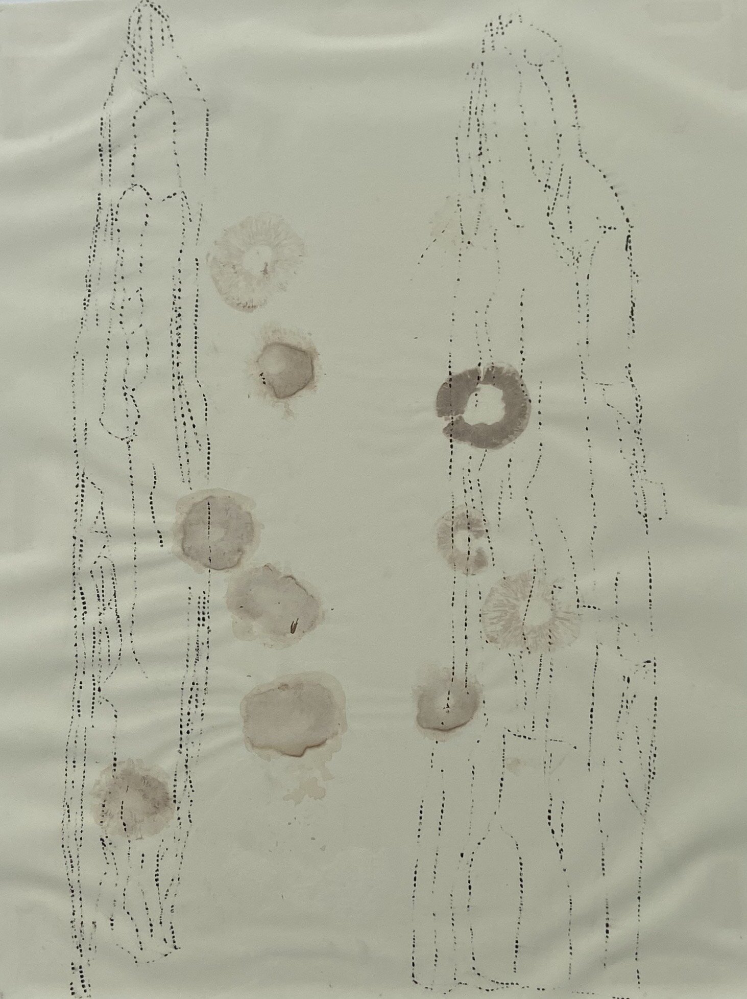    Trace Layers No. 16  , 2008  Mushroom stains, charcoal, and rice paper on archival paper  26 x 18 in. 