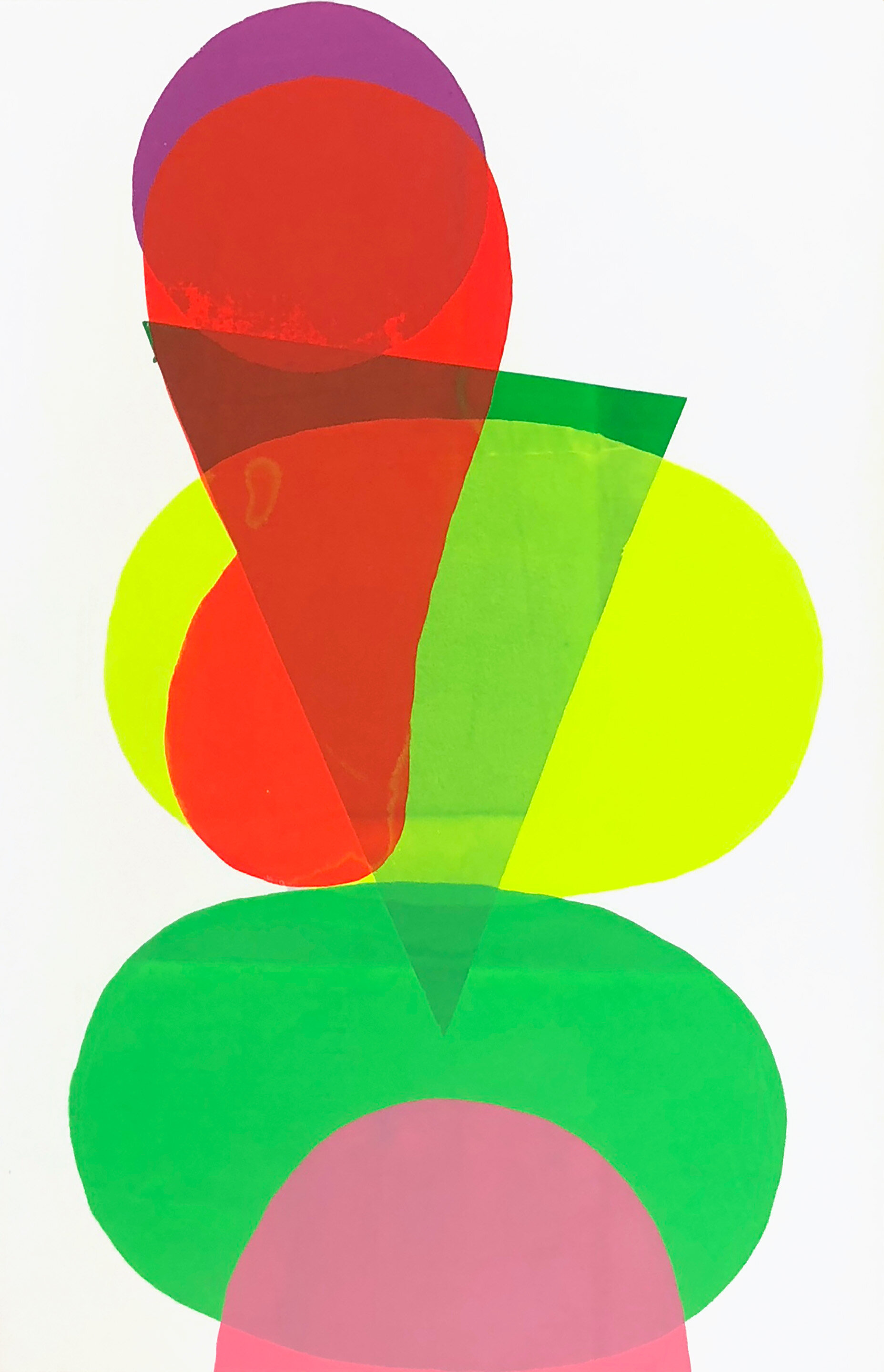    Shapes 4  , 2013  Monoprint, Silkscreen ink on paper  40 x 26 in. 