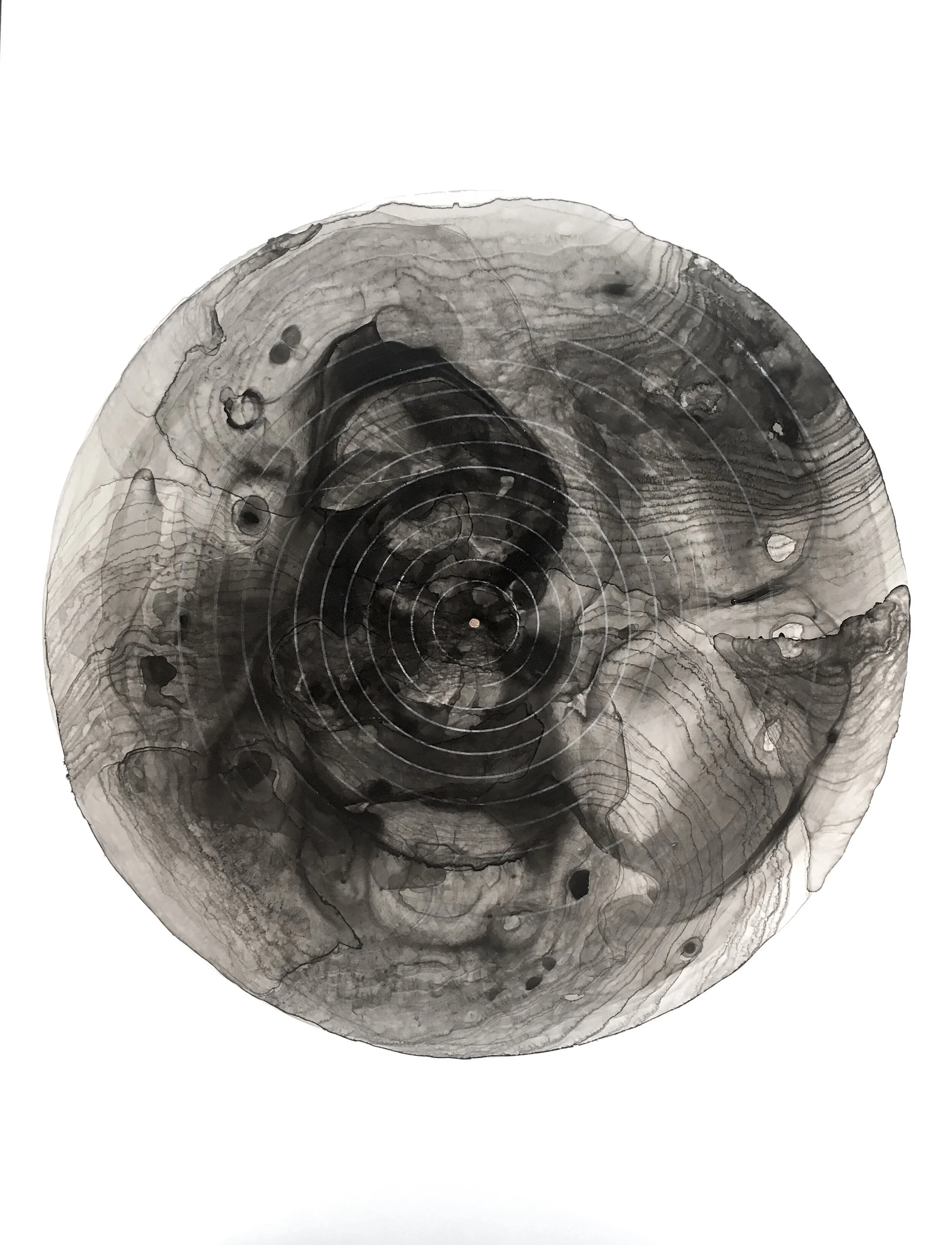    Untitled  , 2013  Acrylic on Yupo  26 x 20 in. 