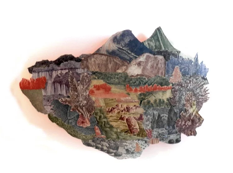    Island of Refuge (BoulderfieldRedtrees)  , 2018  Devalued currency collage on paper  11 x 14 in. 