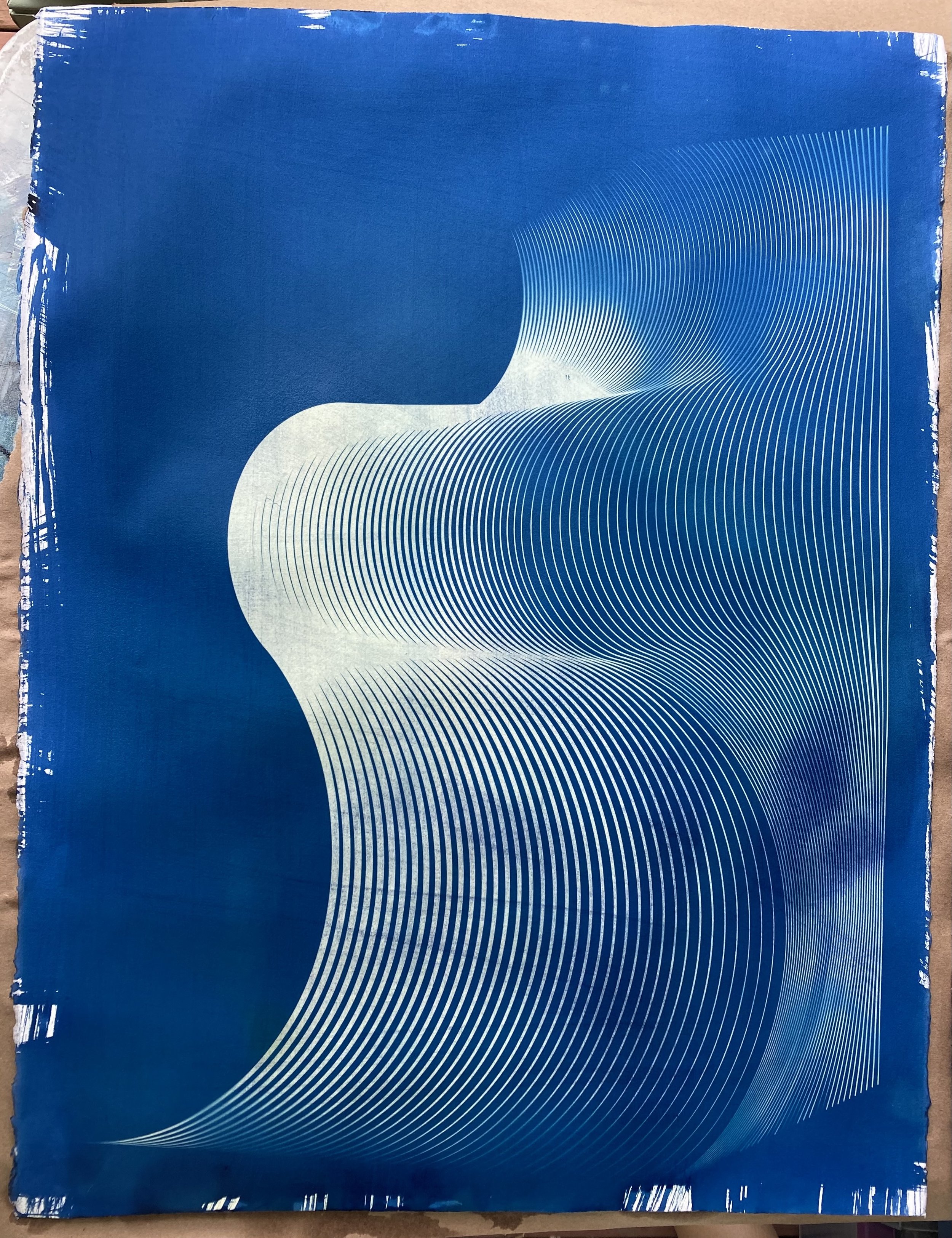    Untitled 4 (from Meditations On perceived Acts Of Violence)  , 2022  Cyanotype on watercolor paper  30 x 23 in. 