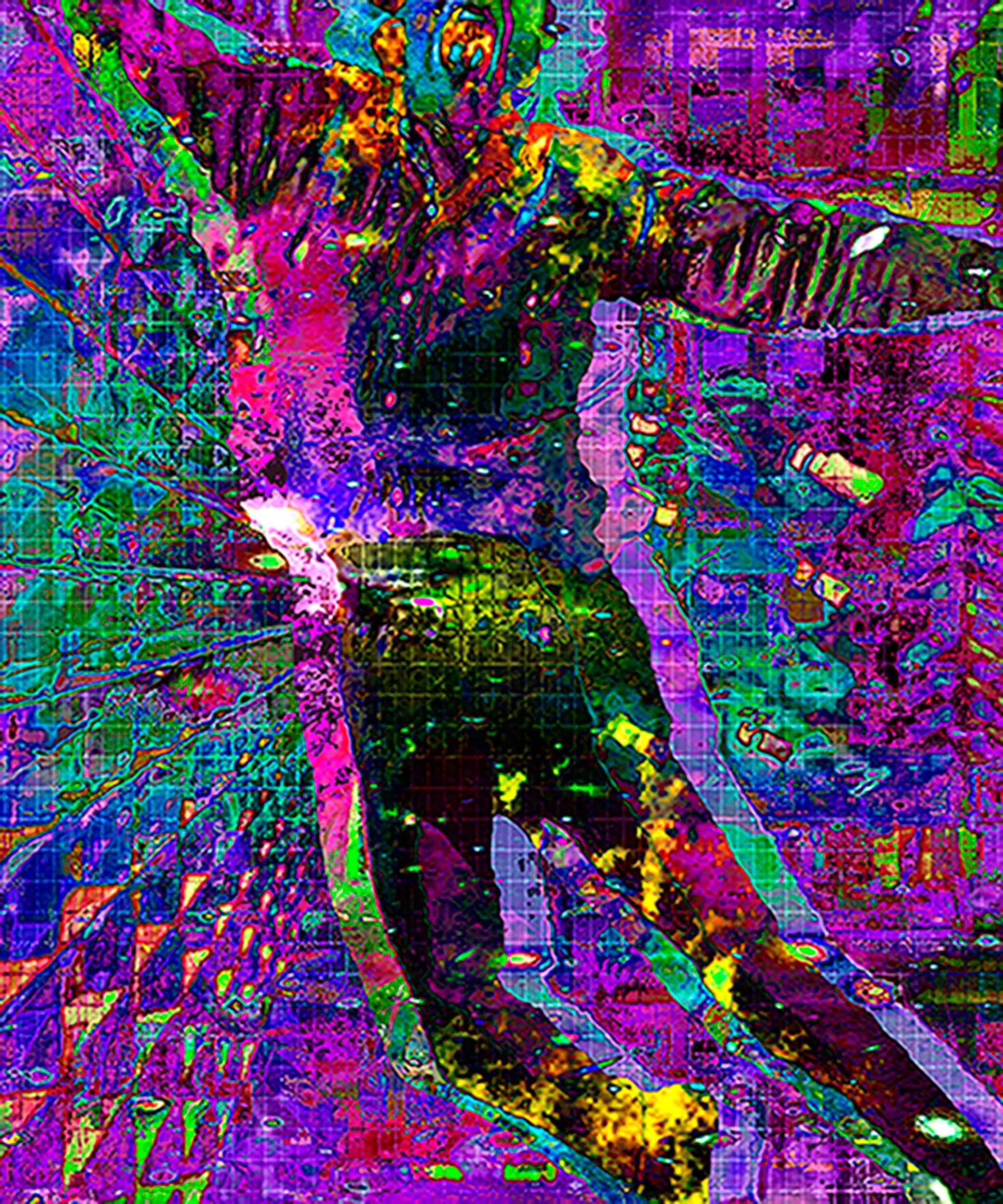    Hypnagogia  , 2020-2023  Archival pigment print mounted to Dibond  60 x 50 in 