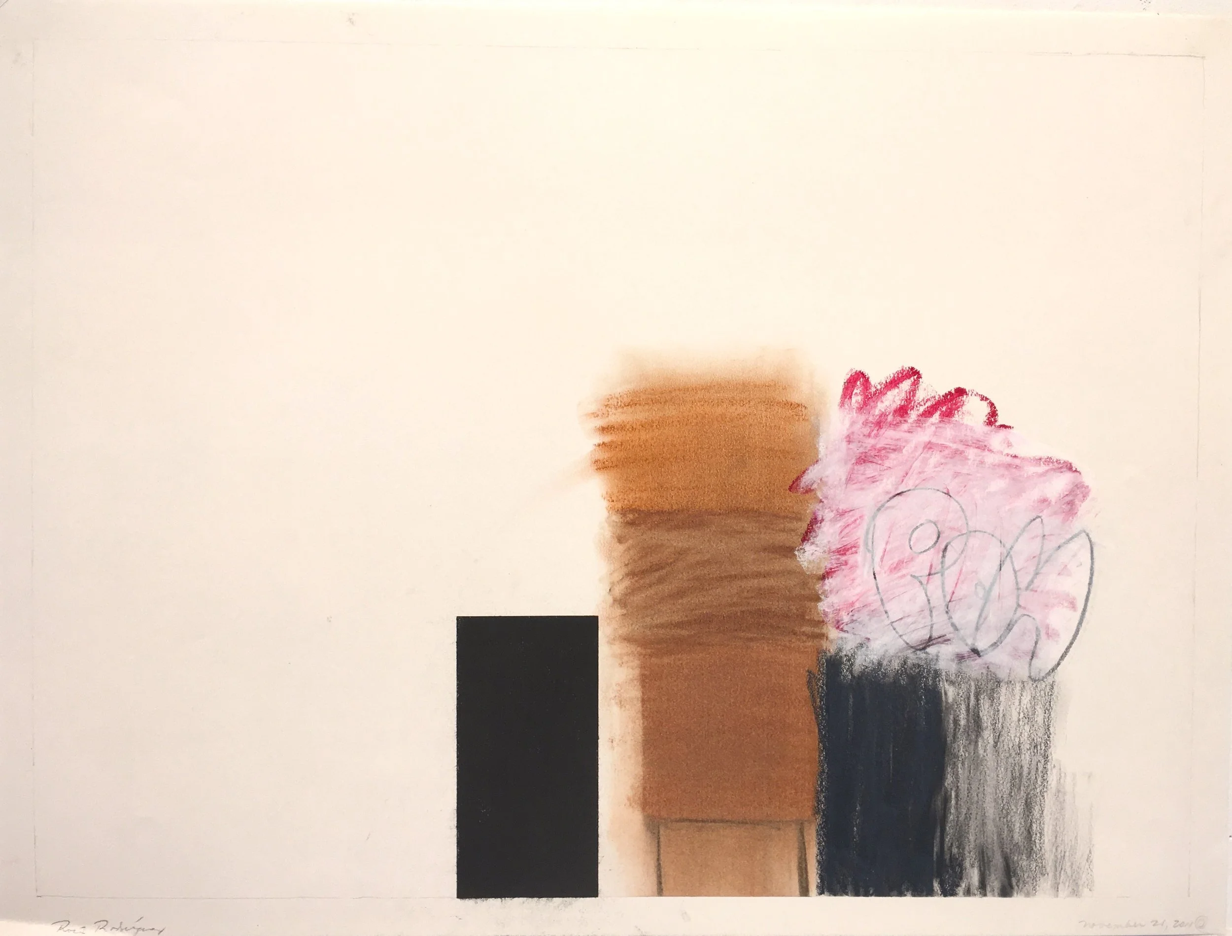    November 21, 2011  , 2011  Charcoal, pencil, and pastel on paper  18 x 24 in 