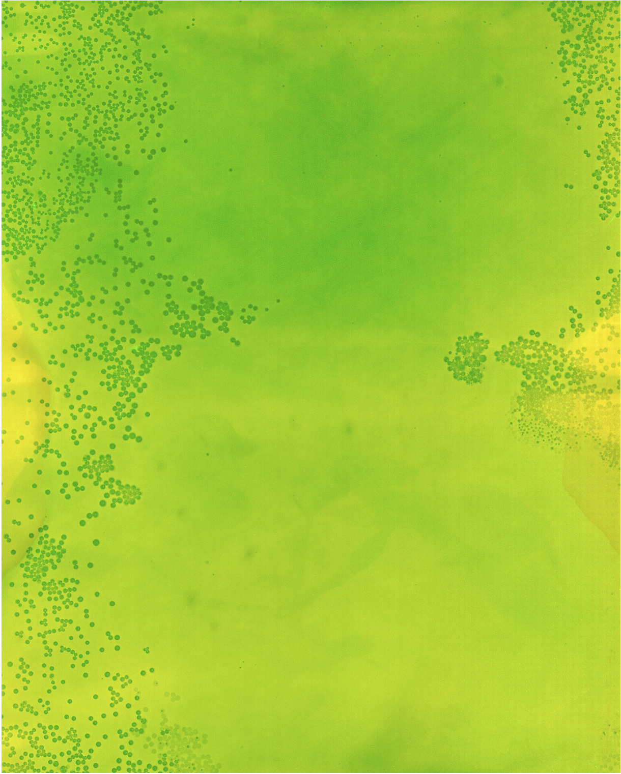    Cameraless Exposure of Mountain Original and Voltage 2    Archival pigment print   50 x 40 in.   