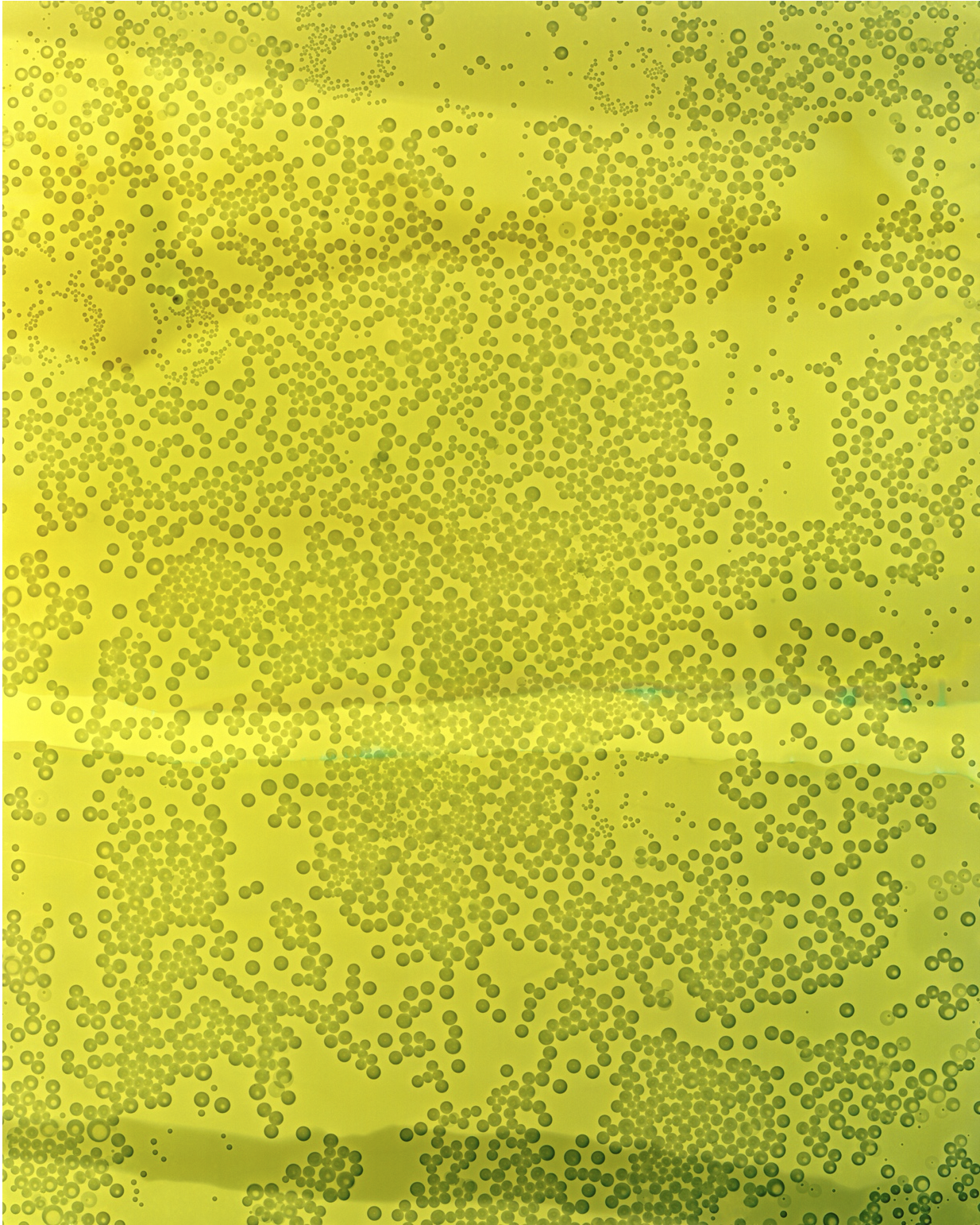    Cameraless Exposure of Mountain Dew Original    Archival pigment print   50 × 40 in.  