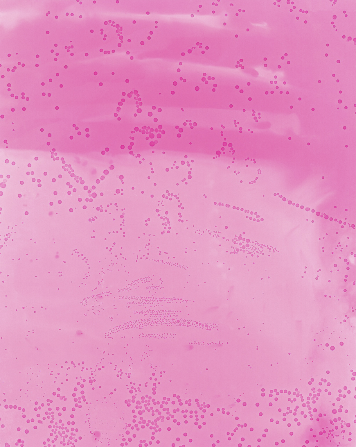    Cameraless Exposure of Mountain Dew Dragon Fruit    Archival pigment print   50 x 40 in.  