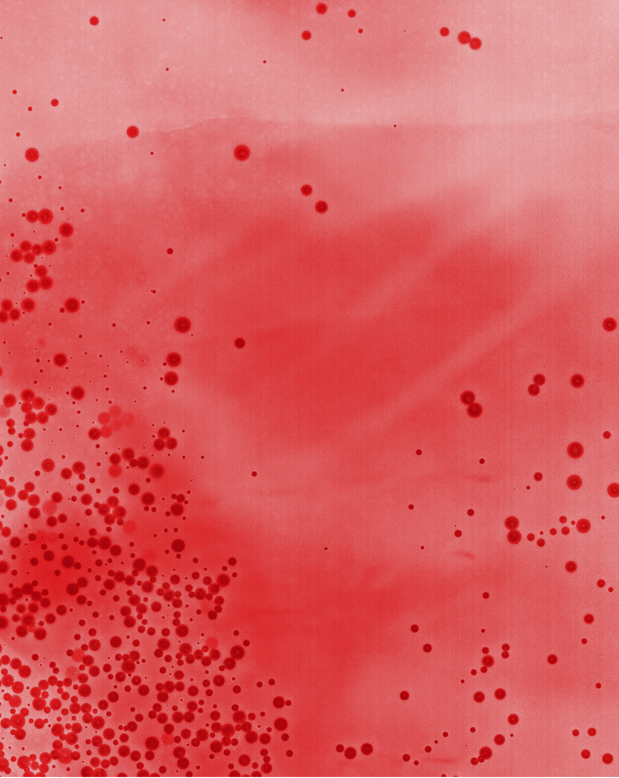   Cameraless Exposure of Mountain Dew Code Red    Archival pigment print   50  x 40 in.  