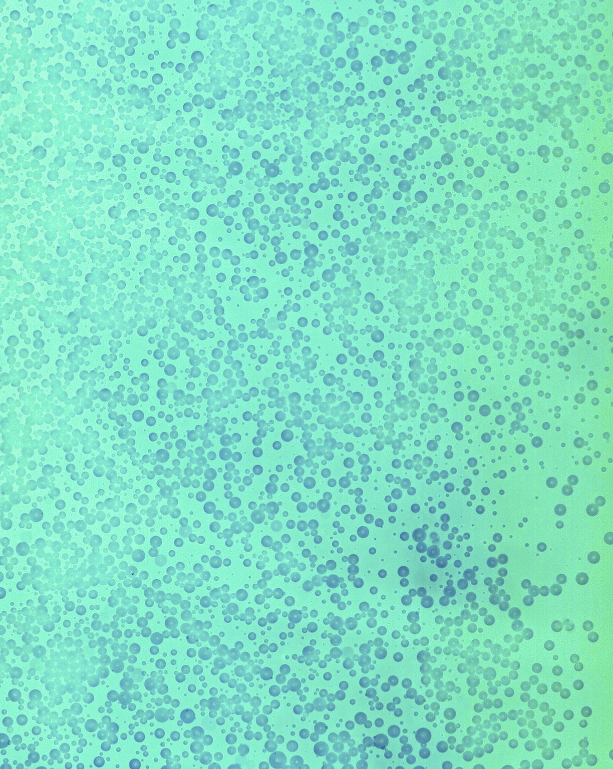    Cameraless Exposure of Mountain Dew Baja Blast    Archival pigment print   50  x  40 in.  