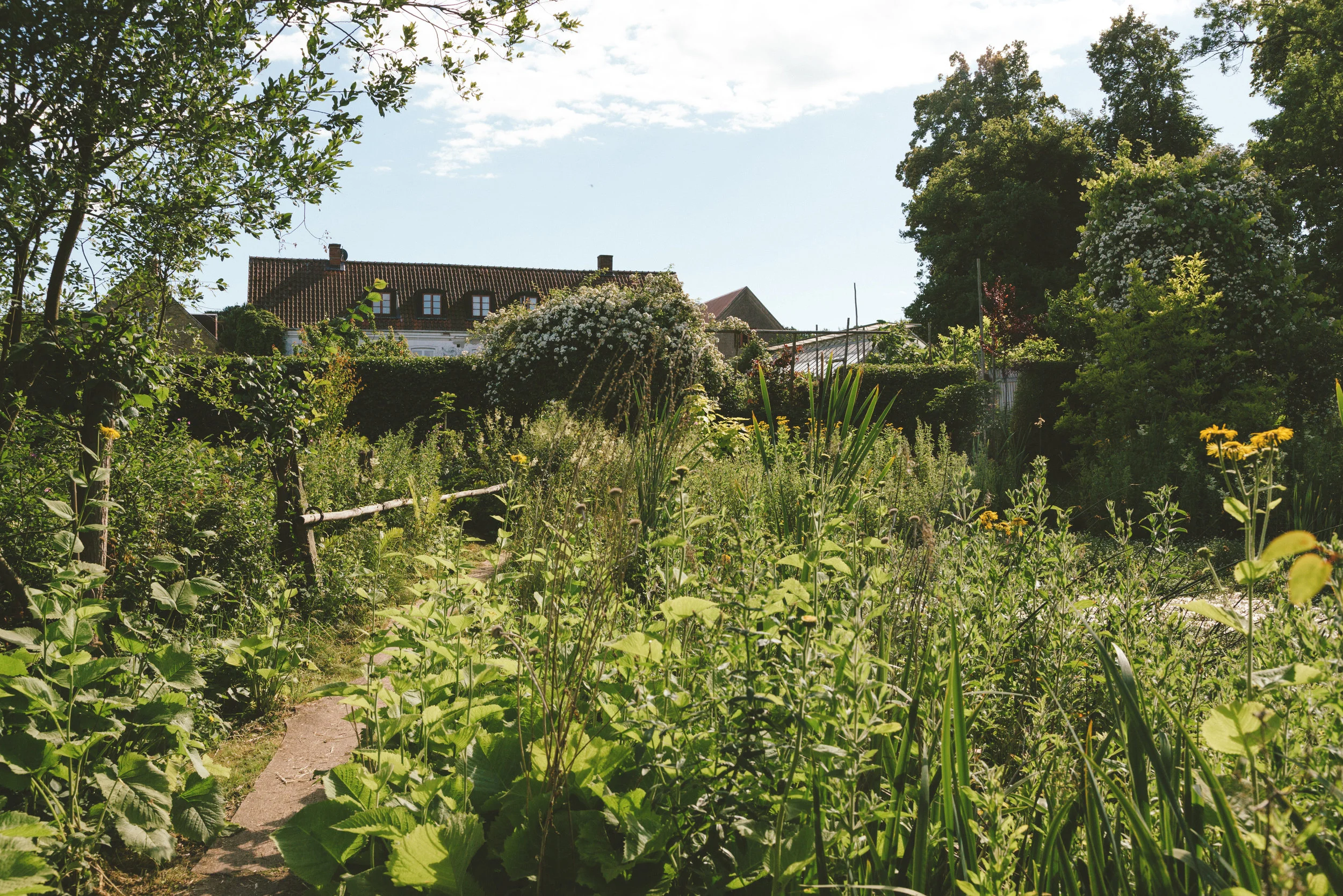Bees, sheep and ducks are sharing space with plants of all kinds at the farm.