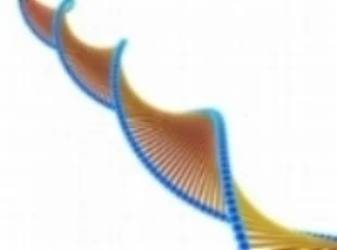 gene.jpg