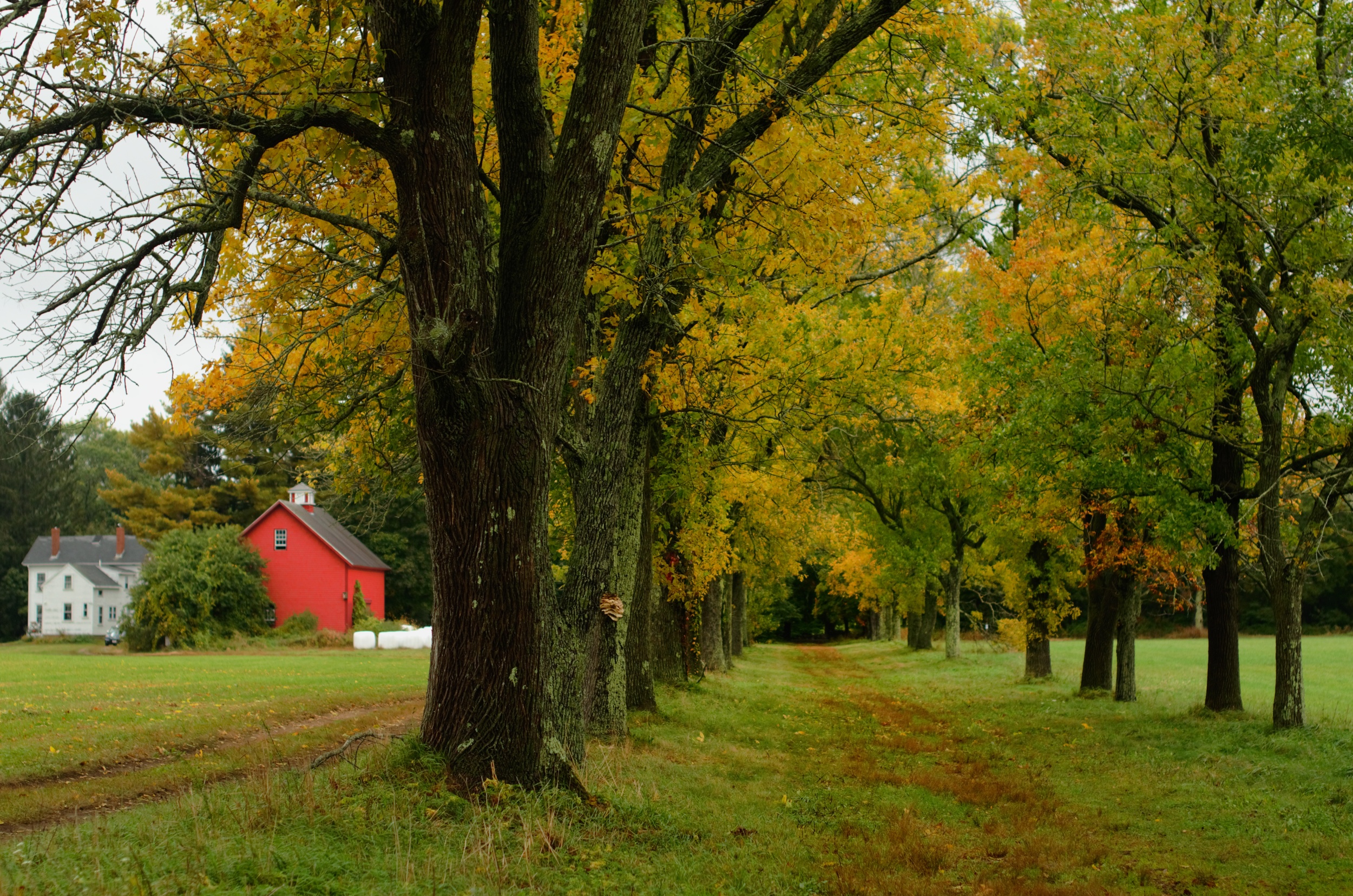 Appleton Farms Oct 2014.jpg