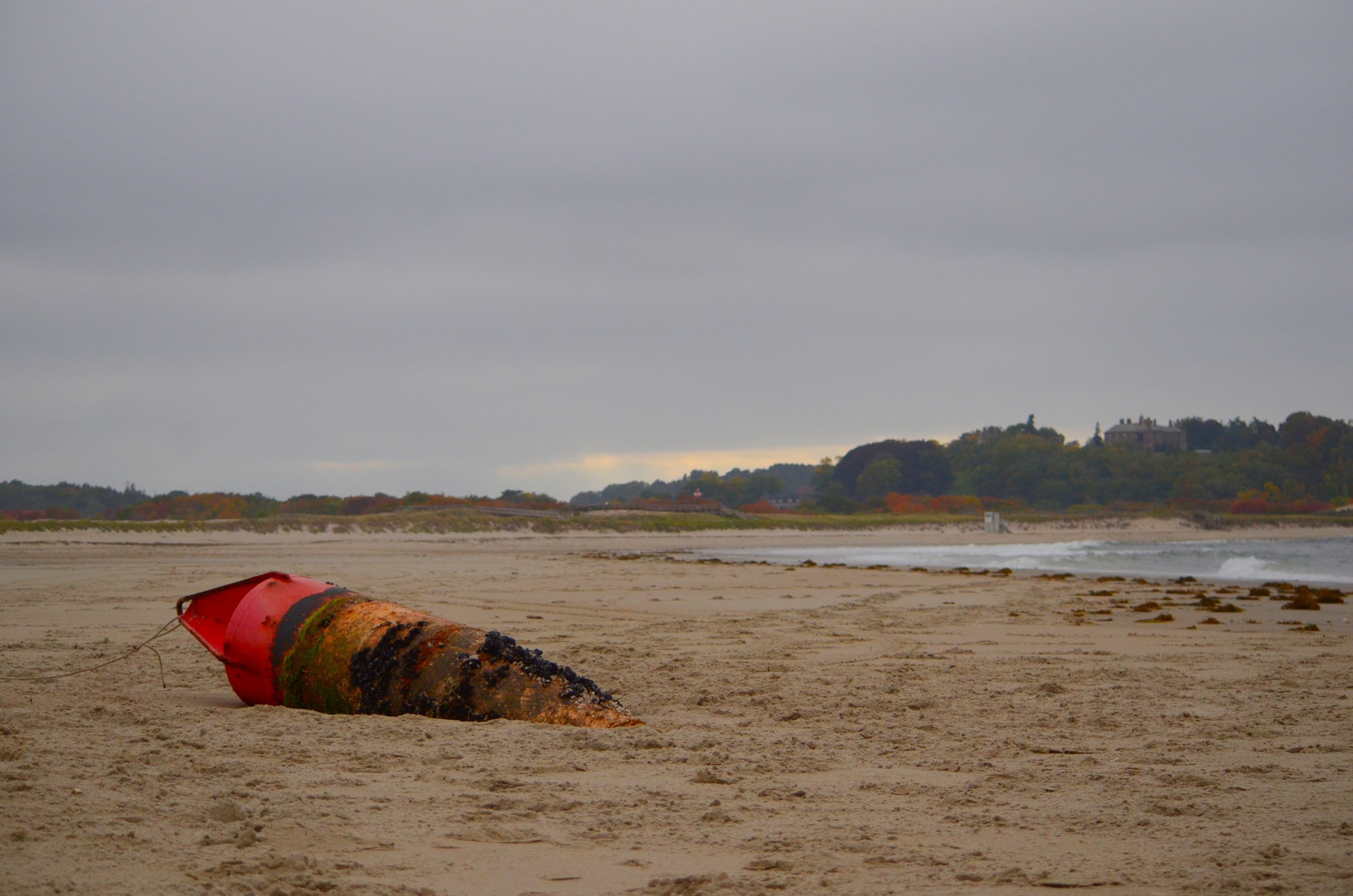 Buoy on Beach.jpg