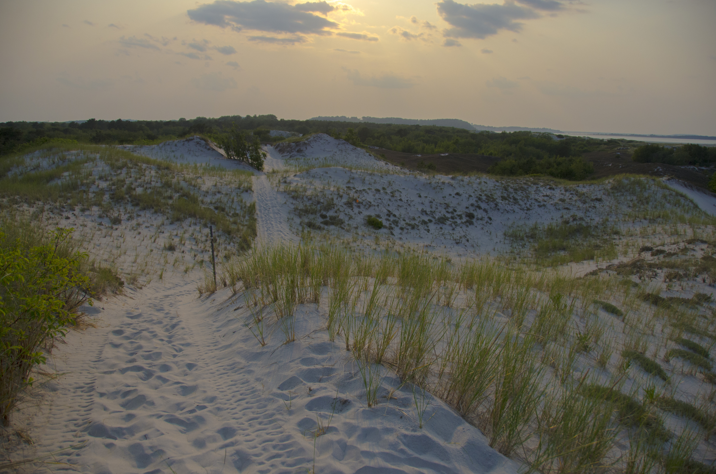 Red Trail at Dusk at Crane Beach