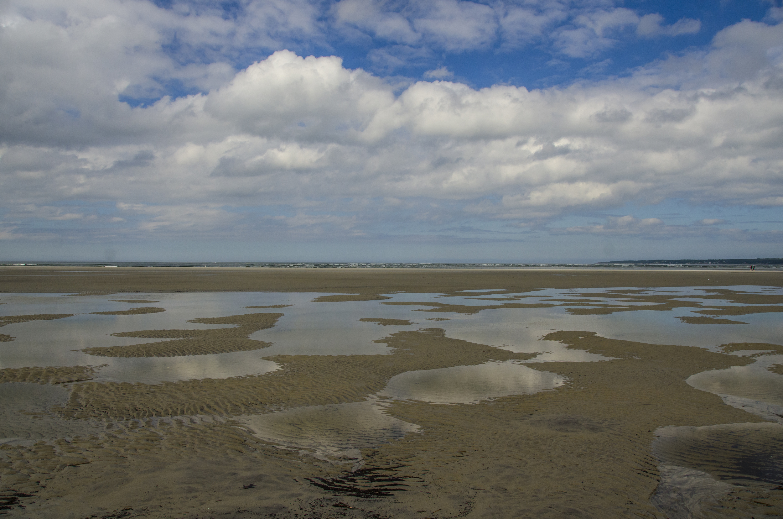 Crane Beach reflections.jpg