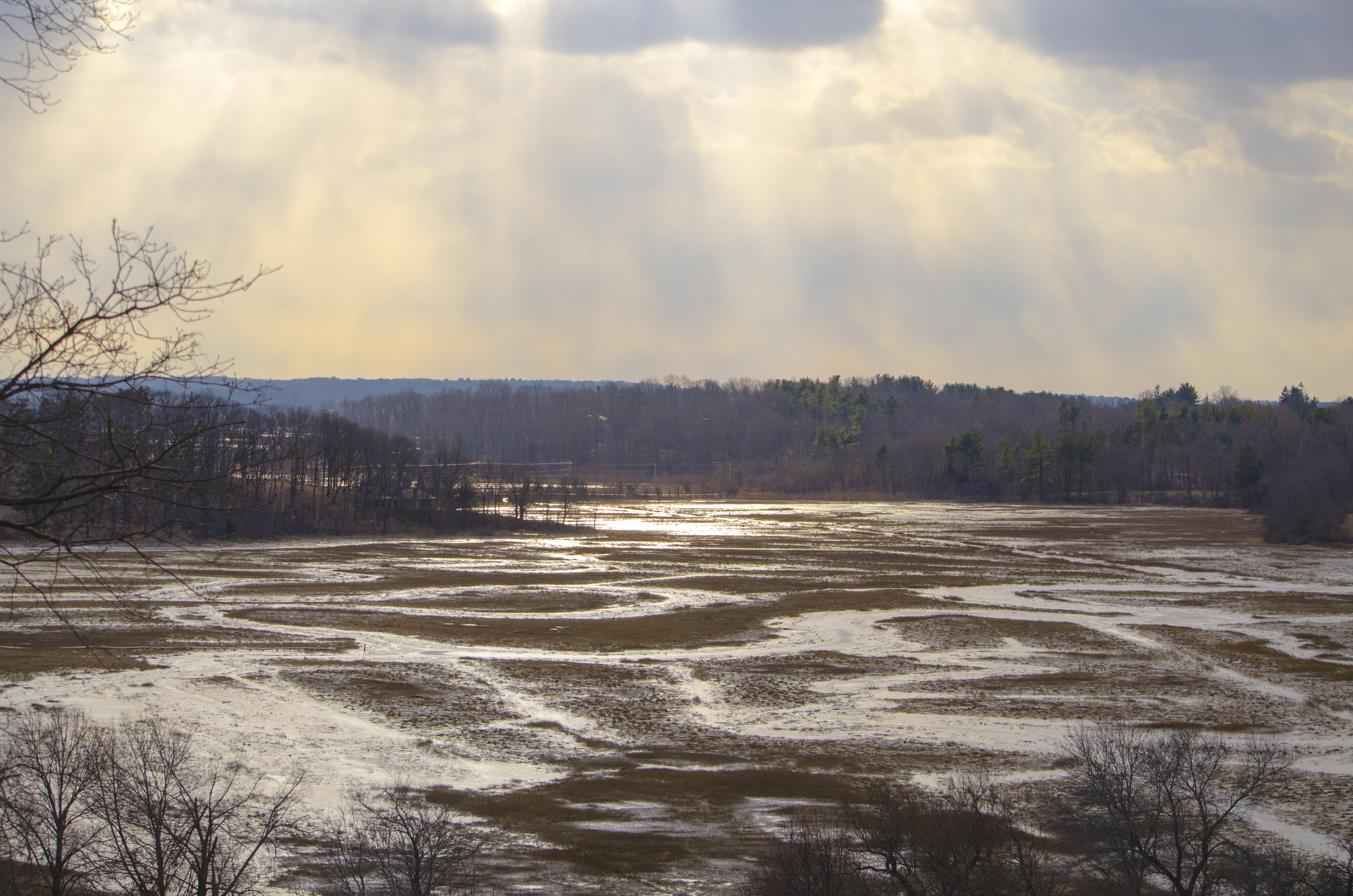 Fox Creek in Winter.jpg