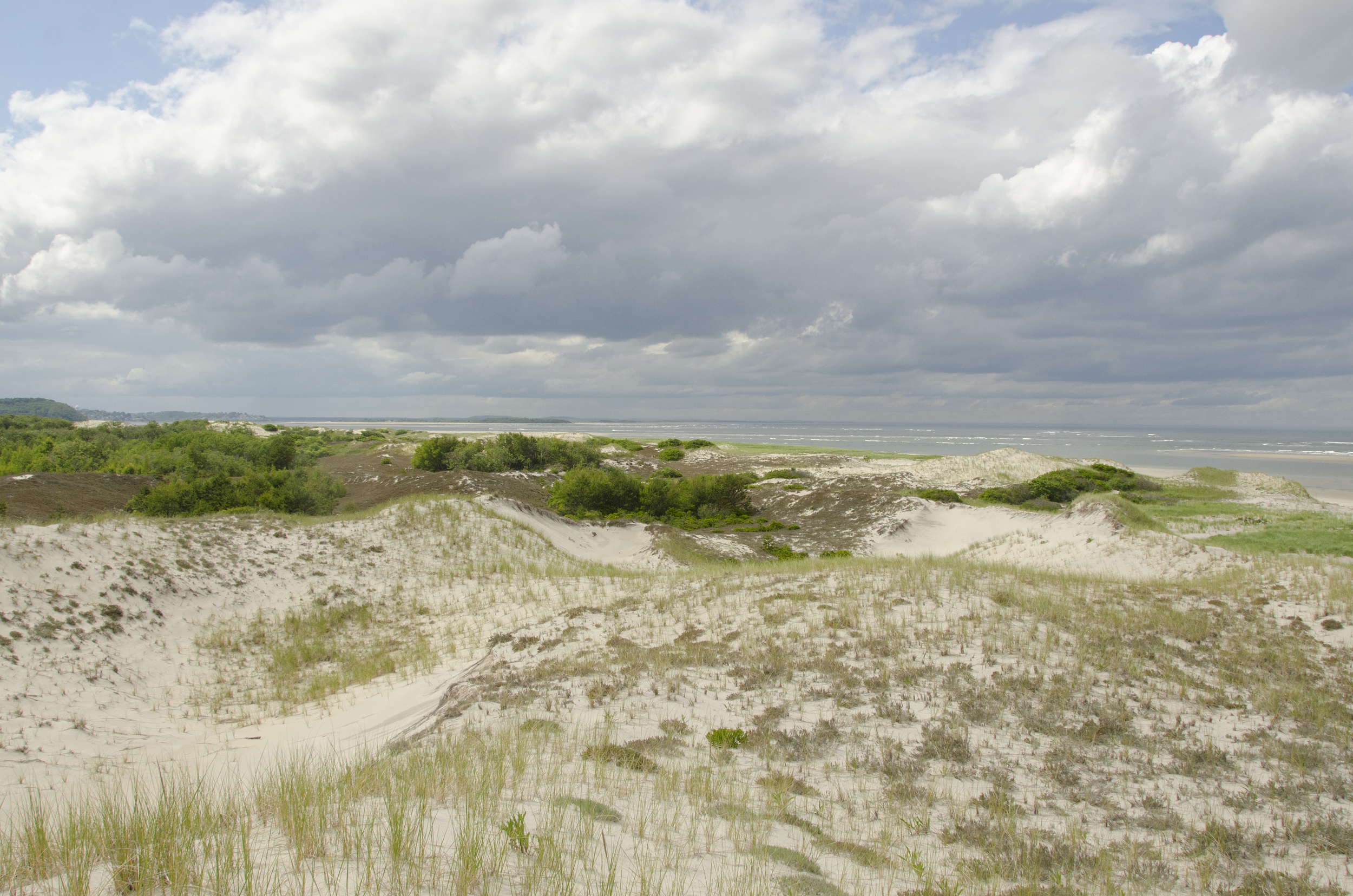 Red Trail at Crane Beach.jpg