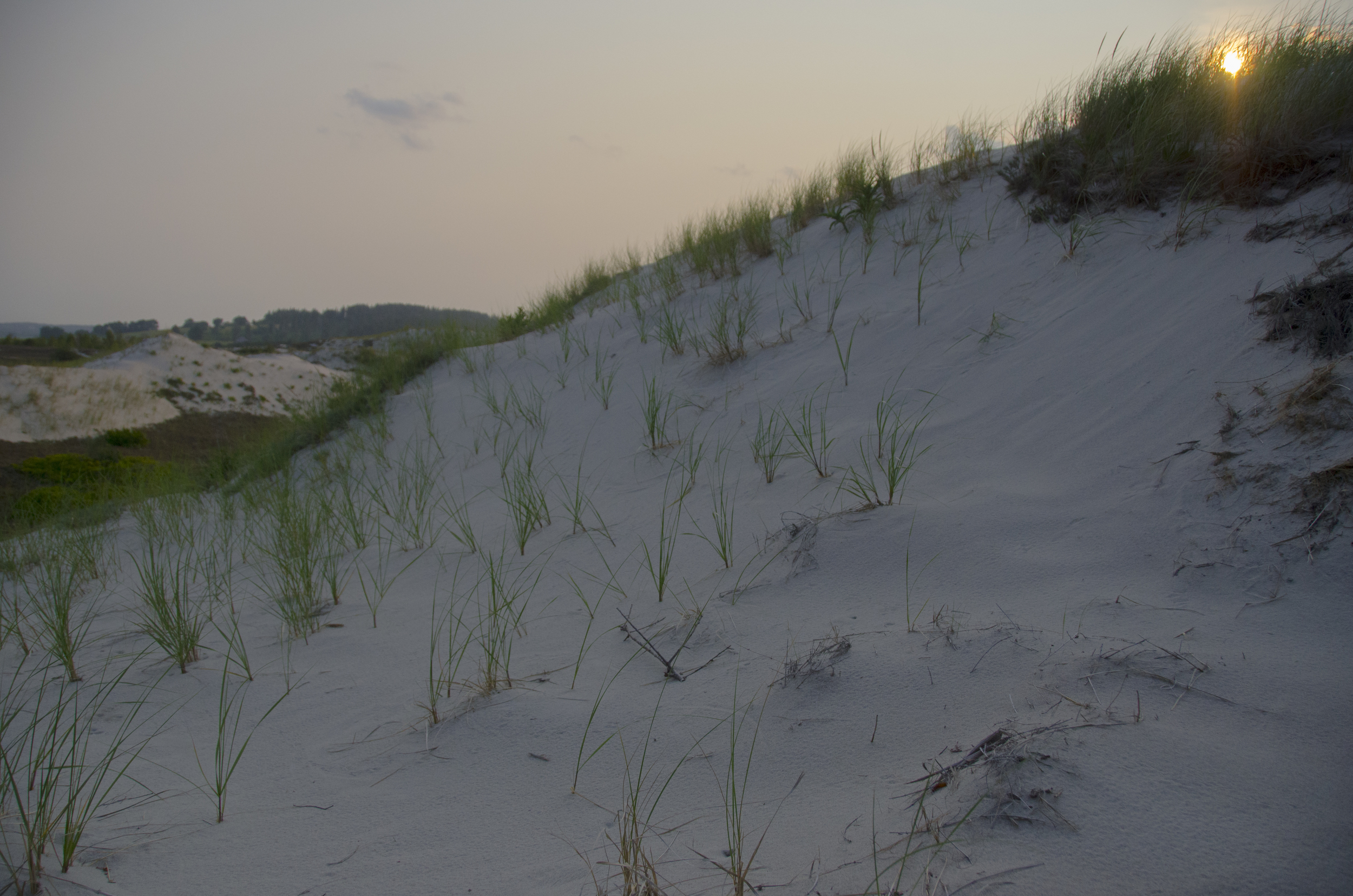 Dunes on Black Trail.jpg